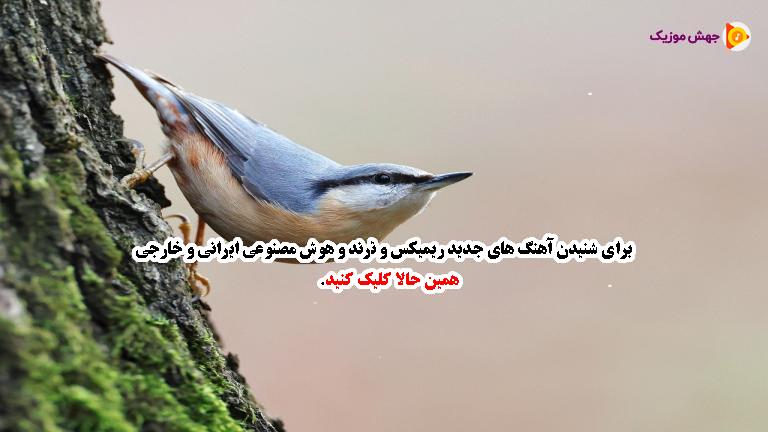 دانلود آهنگ مگه میشه بارون بباره ولی از شادمهر عقیلی